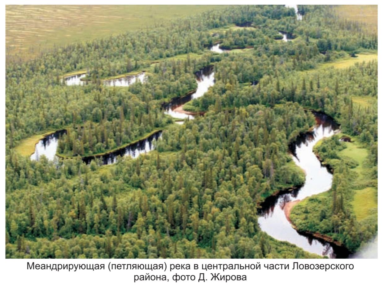 Меандрирующая (петляющая) рекав центральной части ловозерского района, фото Д.Жирова.