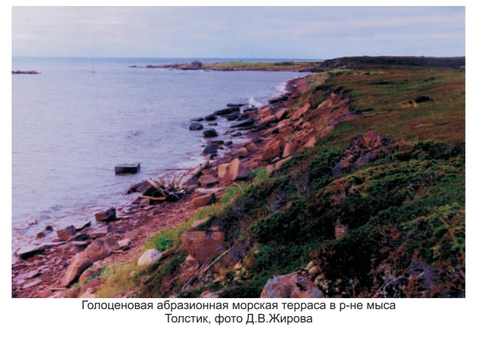 Голоценовая абразионная морская терраса  в р-не мыса Толстик, фото Д. В. Жирова.