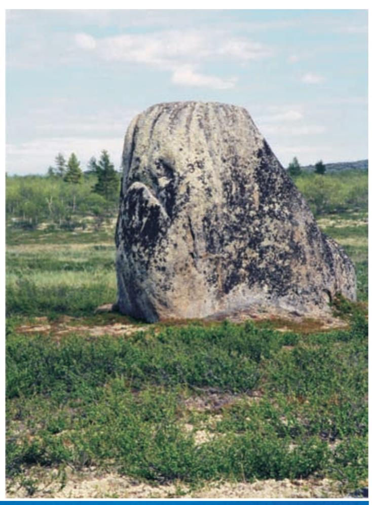 Сейд летучий камень на Трофим - горе ( сейдпахт) , фото И.Вдовина.