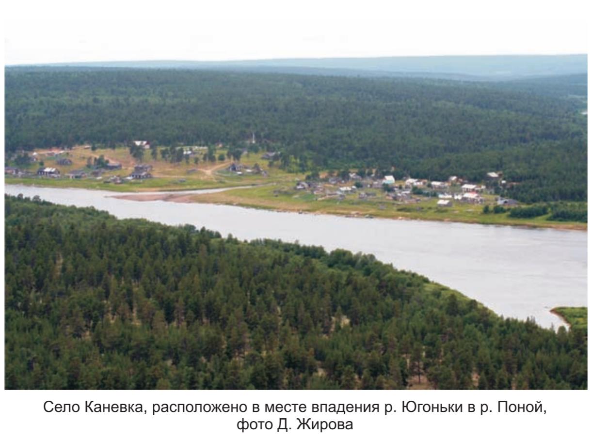 Село Каневка , расположено  в месте впадения  р. Юконьги  в р. Поной , фото Д. Жирова.