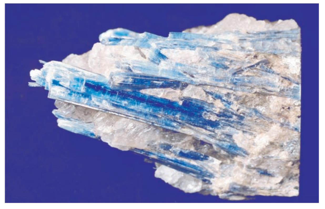 голубой кианит - кристаллы в кварце, фото И Нестернко.