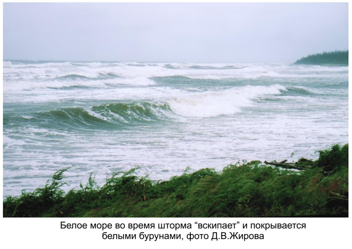 Белое море во время шторма -вскипает- и покрывается белыми бурунами, фото Д.А.Жирова.