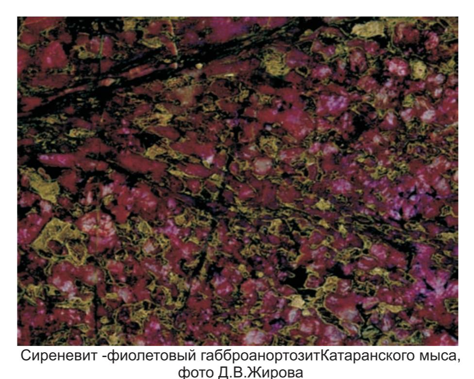 Сиреневит - фиолетовый  габброанортозонит Катаранского мыса , фото Д. В. Жирова.