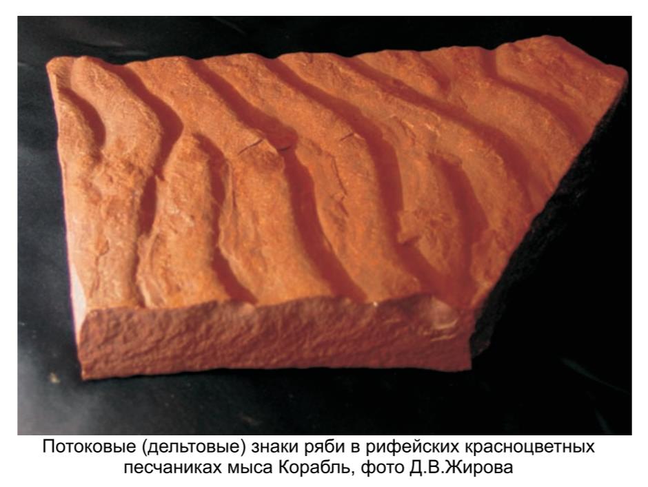 Потоковые (дельтовые) знаки ряби в рифеских красноцветных песчаниках мыса Корабль , фото Д. В. Жирова . Потоковые (дельтовые) знаки ряби в рифеских красноцветных песчаниках мыса Корабль , фото Д. В. Жирова.