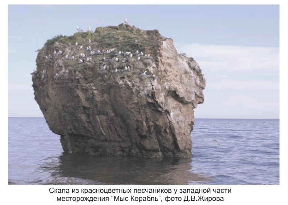 Скала из красноцветных песчаников у западной части месторождения мыс Корабль фото Д. В. Жирова.