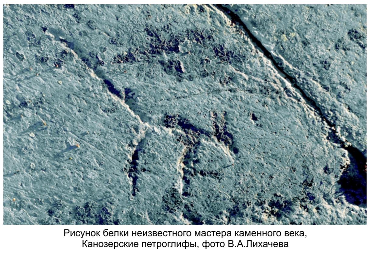 Рисунок белки неизвестного мастера каменного века, Канозерские петроглифы , фото  В.А. Лихачева.