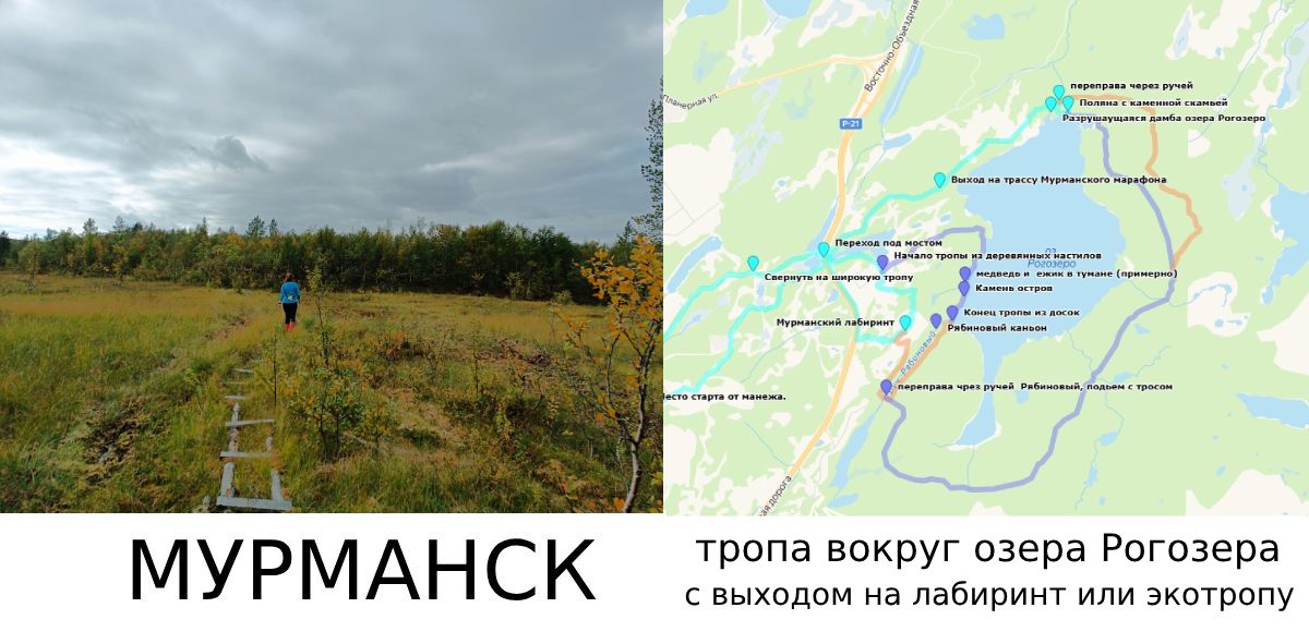 Тропа на дамбу и вокруг озера Рогозеро.