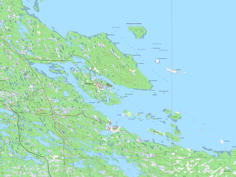 Лесозаводский карта